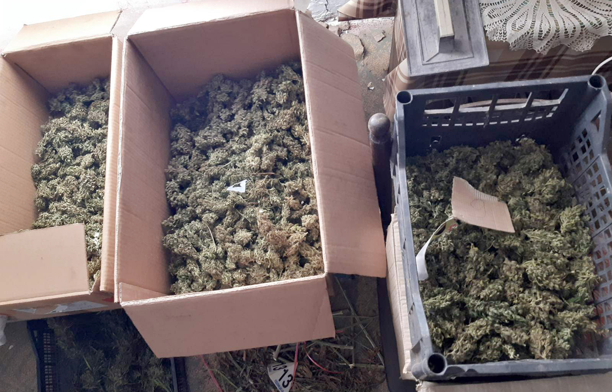 Zaplenjeno više od 20 kilograma marihuane